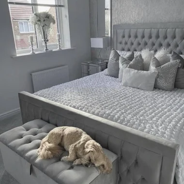 Chesterfield Princess Main